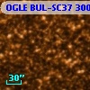OGLE BUL-SC37  30085