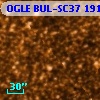 OGLE BUL-SC37 191805