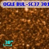 OGLE BUL-SC37  30125
