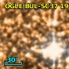 OGLE BUL-SC37 191952