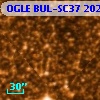 OGLE BUL-SC37 202750