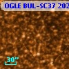 OGLE BUL-SC37 202803