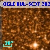 OGLE BUL-SC37 202747