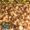 OGLE BUL-SC37  41907