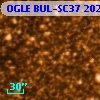 OGLE BUL-SC37 202967