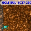 OGLE BUL-SC37 202831