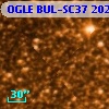 OGLE BUL-SC37 202768