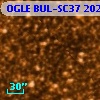 OGLE BUL-SC37 202777