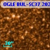 OGLE BUL-SC37 202786