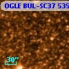 OGLE BUL-SC37  53512