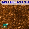 OGLE BUL-SC37 213548