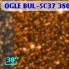 OGLE BUL-SC37 380152