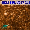 OGLE BUL-SC37 213641