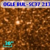 OGLE BUL-SC37 213560