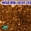 OGLE BUL-SC37 213551
