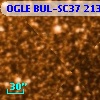 OGLE BUL-SC37 213554