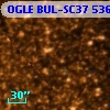 OGLE BUL-SC37  53604