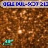 OGLE BUL-SC37 213572
