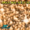 OGLE BUL-SC37 213654