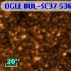 OGLE BUL-SC37  53640