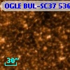 OGLE BUL-SC37  53642