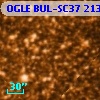 OGLE BUL-SC37 213582