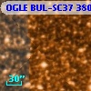 OGLE BUL-SC37 380219
