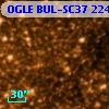 OGLE BUL-SC37 224174