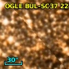 OGLE BUL-SC37 224156