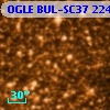 OGLE BUL-SC37 224214