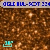 OGLE BUL-SC37 224176