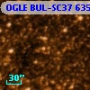 OGLE BUL-SC37  63572