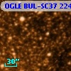 OGLE BUL-SC37 224187