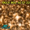 OGLE BUL-SC37 224183