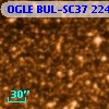 OGLE BUL-SC37 224178