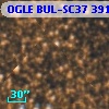 OGLE BUL-SC37 391035