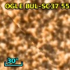 OGLE BUL-SC37 555794