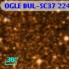 OGLE BUL-SC37 224272