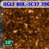 OGLE BUL-SC37 390977