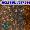 OGLE BUL-SC37 391055