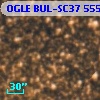 OGLE BUL-SC37 555807