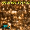 OGLE BUL-SC37 224282