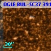 OGLE BUL-SC37 391068
