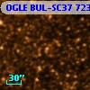 OGLE BUL-SC37  72381