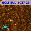 OGLE BUL-SC37 234268