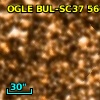 OGLE BUL-SC37 566728
