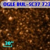 OGLE BUL-SC37  72397