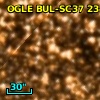 OGLE BUL-SC37 234260