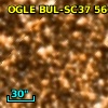 OGLE BUL-SC37 566745