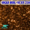 OGLE BUL-SC37 234368